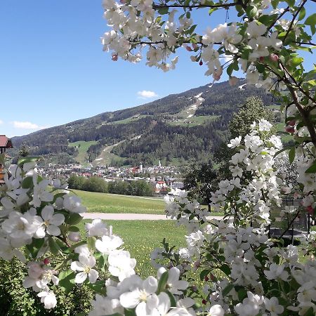 Holdhaeusl Daire Schladming Dış mekan fotoğraf