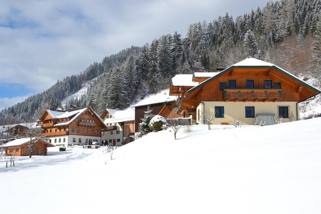 Holdhaeusl Daire Schladming Oda fotoğraf
