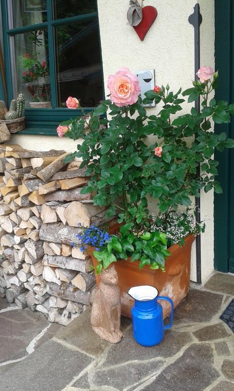 Holdhaeusl Daire Schladming Oda fotoğraf