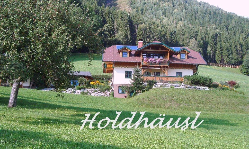 Holdhaeusl Daire Schladming Oda fotoğraf