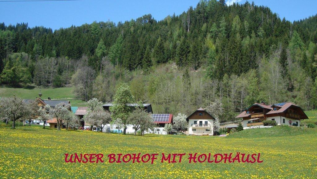 Holdhaeusl Daire Schladming Oda fotoğraf
