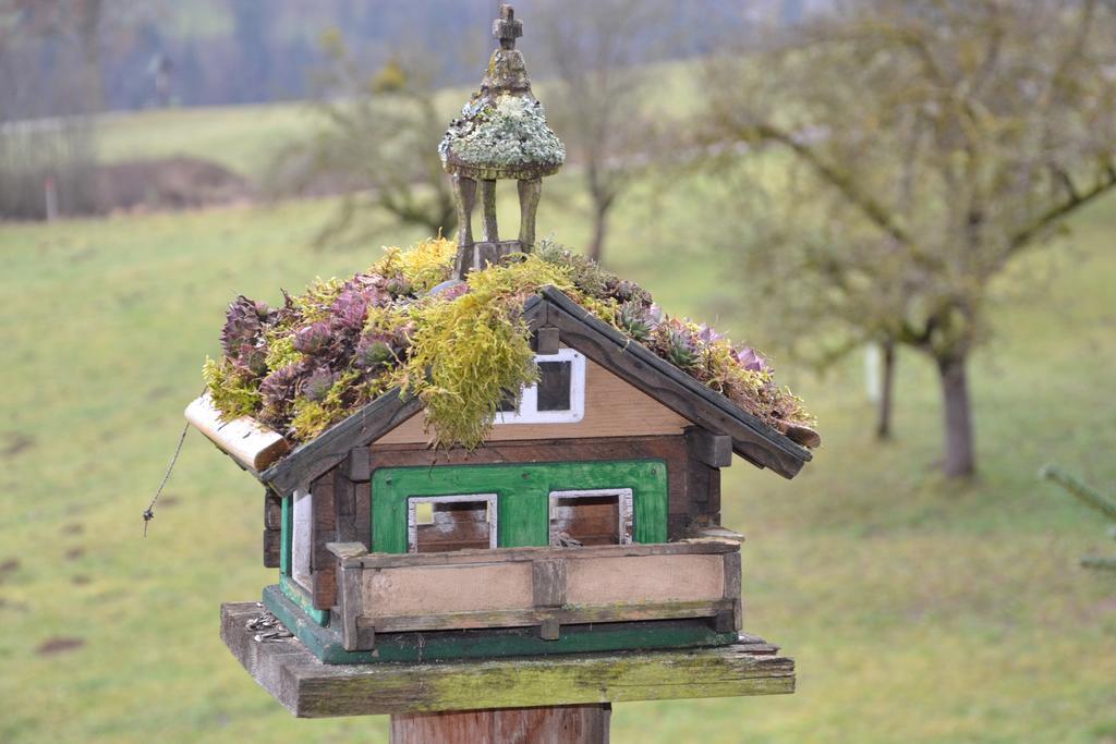 Holdhaeusl Daire Schladming Oda fotoğraf