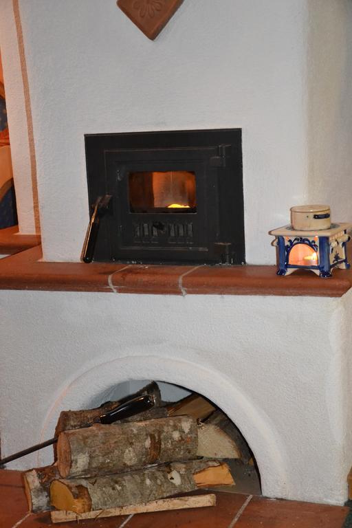 Holdhaeusl Daire Schladming Oda fotoğraf