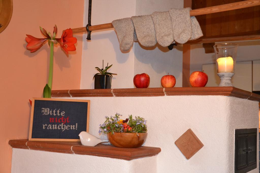 Holdhaeusl Daire Schladming Oda fotoğraf