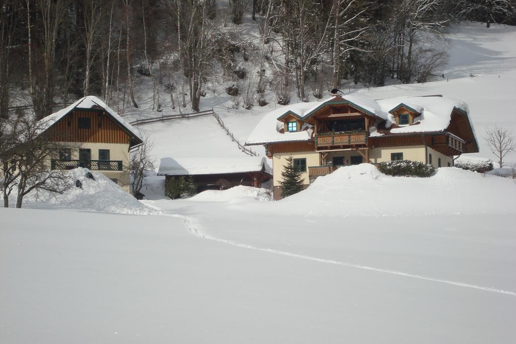 Holdhaeusl Daire Schladming Oda fotoğraf