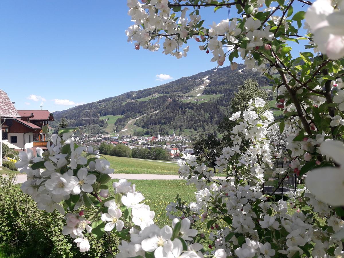 Holdhaeusl Daire Schladming Dış mekan fotoğraf